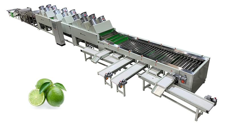 images/1695371431867lime grading machine.jpg